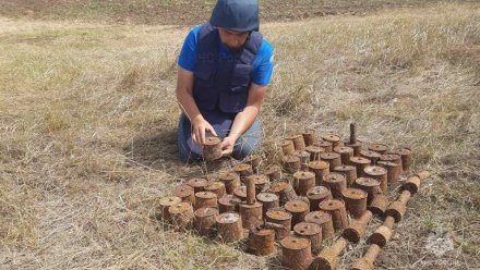 Более 60 гранат времен ВОВ обнаружили в окрестностях крымского села