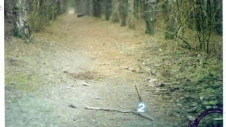 Жителя Ялты осудят за убийство знакомого, совершённое более 26 лет назад