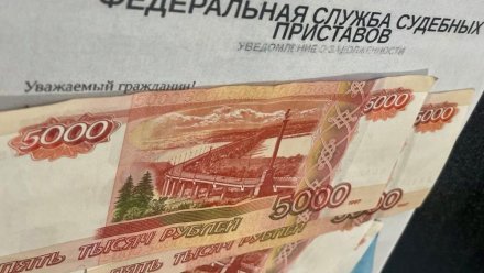 В Крыму участились случаи интернет-мошенничества от лица судебных приставов