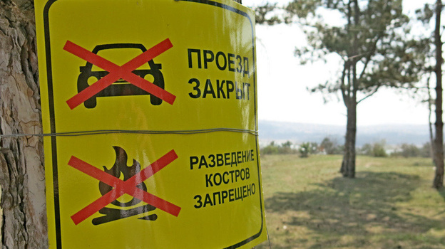 В Крыму продлили запрет на посещение лесов 