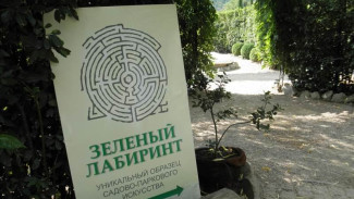 Галантусы для Татьян и студентов:  Никитский ботанический сад приглашает на бесплатную экскурсию 