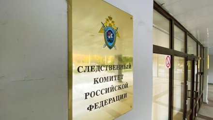 Следком РФ откроет «горячую линию» для беженцев