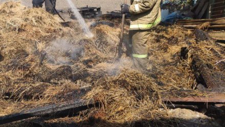 В селе Новопокровка тушили солому