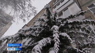 Около 400 коммунальщиков расчищают улицы Симферополя от снега