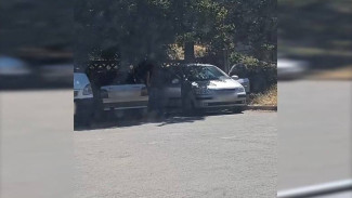 Севастополец передавал данные о военных объектах украинским спецслужбам