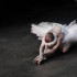 Звёзды российского балета выступят в Крыму в эти выходные 