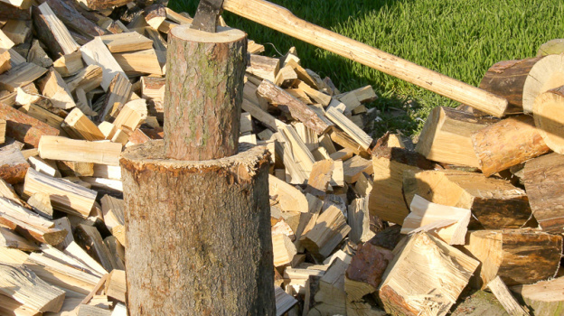 Крымчане смогут заготовить 3,5 кубометра дров