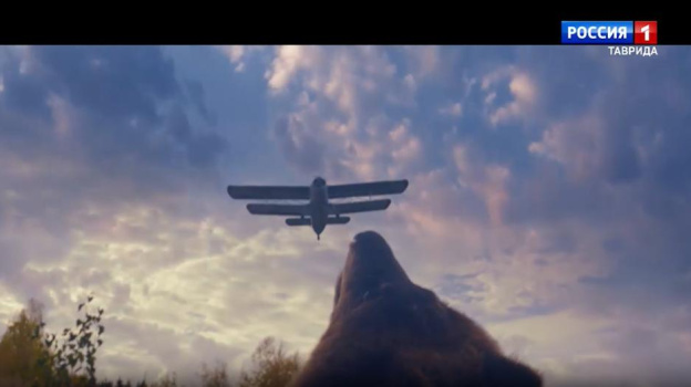 Российский фильм «Пальма-2» лидирует в прокате кинотеатров Крыма