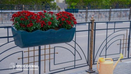  Центр Евпатории украшают хризантемами