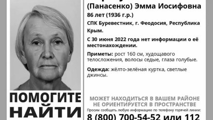 Поисковики обнаружили тело 86-летней пенсионерки в Крыму