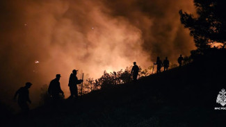 В Сакском районе горел камыш на площади 200 квадратных метров