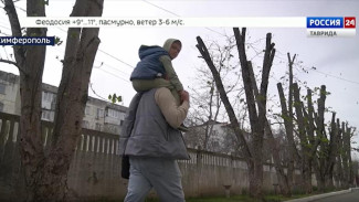 Жители Симферополя волнуются из-за обрезки деревьев