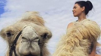 Женщина из Севастополя спасла верблюда от скотобойни