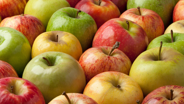 Более 80 тысяч тонн яблок собрали в Крыму