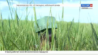 В Крыму началась активная подготовка к охотничьему сезону
