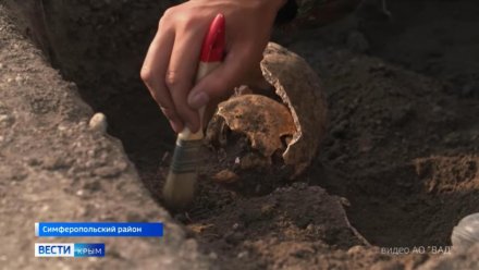 В Керчи случайно нашли останки солдат Великой Отечественной