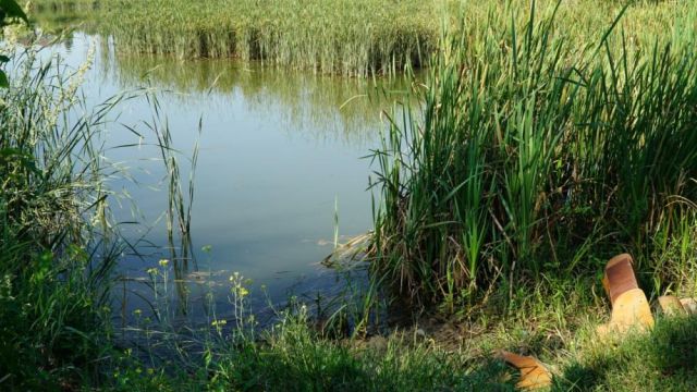 В Симферопольском районе размыло дамбу