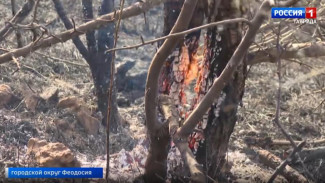 Крупный природный пожар в Коктебеле тушат 300 человек