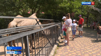 Ялтинский зоопарк удалось спасти от разгула стихии