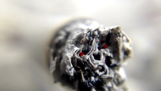 Беларусь поставляет в Крыму более половины нелегальных сигарет