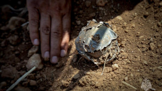 В Севастополе уничтожили взрывоопасный предмет и часть вражеского БпЛА