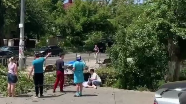 Аварийный тополь упал на мужчину в Севастополе (ВИДЕО) 