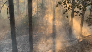 В Бахчисарайском районе предотвратили лесной пожар