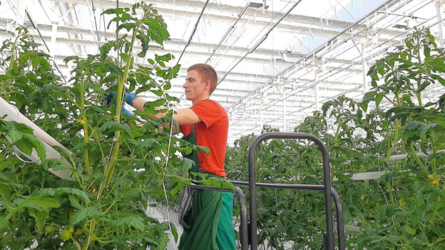 95 молодых сотрудников сельхозпредприятий Крыма получили материальную поддержку