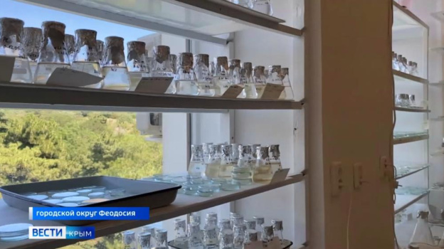 Крупнейшая в мире коллекций диатомовой водоросли собрана в Крыму