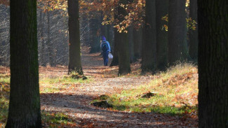 С 30 июня в Ялтинском заповеднике установили запрет на посещение некоторых туристических маршрутов
