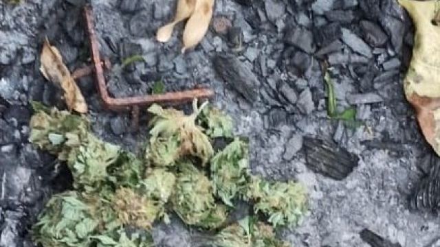 Ялтинец хранил дома крупную партию марихуаны