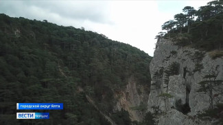 Экотуризм набирает популярность в бархатный сезон в Крыму