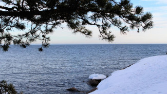 Крым бьёт рекорды: такого количества снега не фиксировали 15 лет 