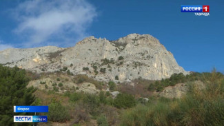 Строительство газопровода от села Весёлое до посёлка Форос идет с опережением графика на четыре месяца