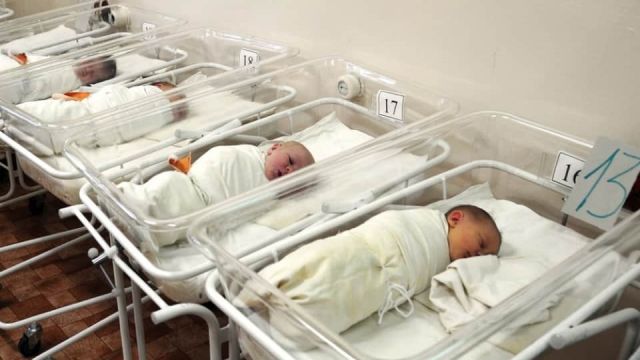 Во втором роддоме Симферополя высадят «Сквер добра»