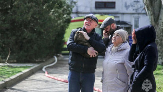 Шесть человек, попугая и кота спасли пожарные Севастополя