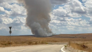 Под Симферополем горит сухая трава на площади 3 Га