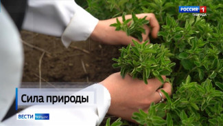  С 1 сентября фармацевтам, которые не будут сообщать покупателям о более дешёвых аналогах лекарств, будет грозить штраф от 100 до 200 тысяч рублей