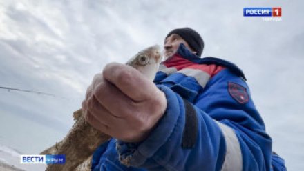 Что будет с рыбой в Херсонщине из-за ЧП с танкерами, рассказал эксперт из Крыма