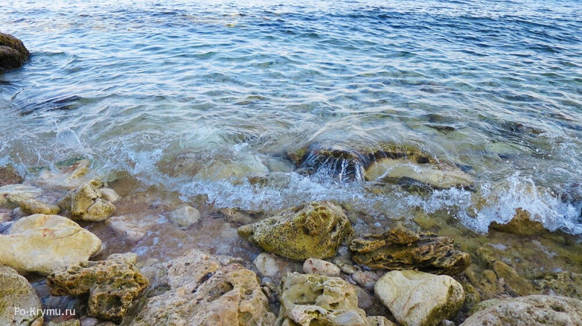 Прогноз погоды в морском крым. Черное море вода. Вода Крыма. Морская вода Крым. Морское Крым.