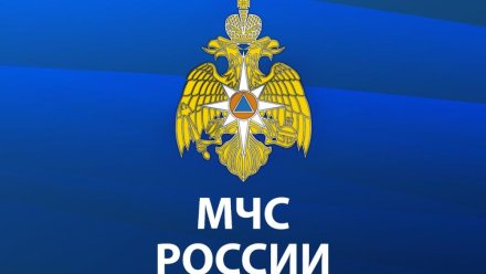 10 авиабомб времен Великой Отечественной войны обнаружили и обезвредили в Крыму 