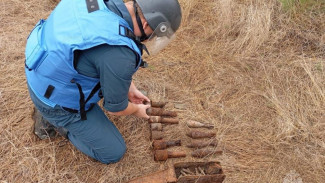 В Керчи и Ленинском районе обезвредили боеприпасы времён Великой Отечественной войны