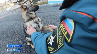 Спасённый в Крыму пёс поступил на службу в МЧС