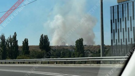 В селе Мирное Симферопольского района из-за искрящих проводов ЛЭП загорелась сухая трава