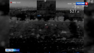 В Крыму на волков охотятся с тепловизорами