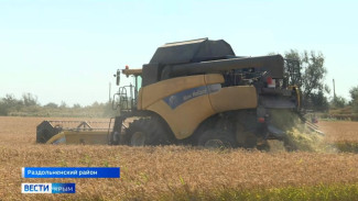 Первый за восемь лет урожай риса собирают в Крыму