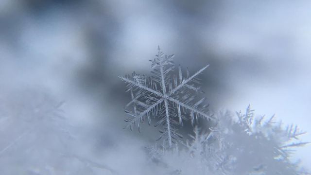 Снег накроет Крым 7 февраля
