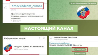 Серию фейковых Telegram-каналов госорганизаций Крыма запустили в интернете