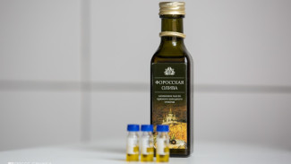 Крымские оливки вошли в топ-10 «Вкусов России»