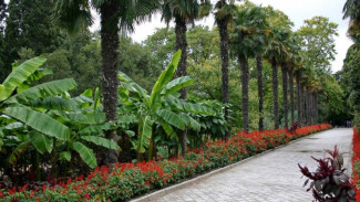 Студенты и обладательницы имени Татьяна могут бесплатно посетить Никитский ботанический сад